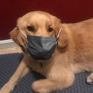 Meet your Posher, Jack